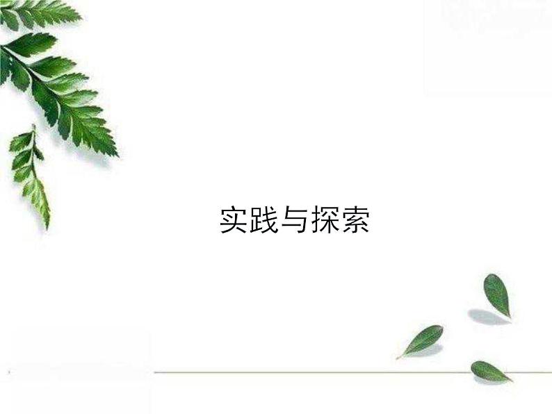 华东师大版数学七年级下册《实践与探索》同步课件01