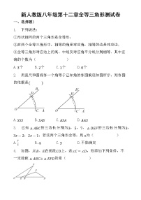 人教版八年级上册第十二章 全等三角形综合与测试同步训练题