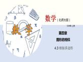 4.3 相似多边形（共24张PPT）--2021-2022学年九年级数学上册同步（北师版）