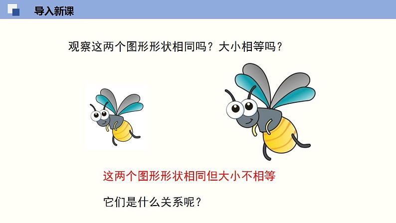 4.3 相似多边形（共24张PPT）--2021-2022学年九年级数学上册同步（北师版）04