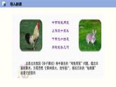 5.3應(yīng)用二元一次方程組--雞兔同籠--2021-2022學(xué)年八年級數(shù)學(xué)上冊同步（北師版）課件PPT