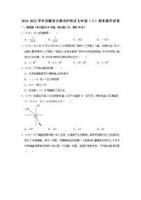 安徽省合肥市庐阳区2021-2022学年上学期七年级期末数学试卷（word版 含答案）