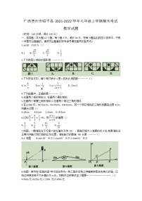 广西贺州市昭平县2021-2022学年九年级上学期期末考试数学试题（word版 含答案）