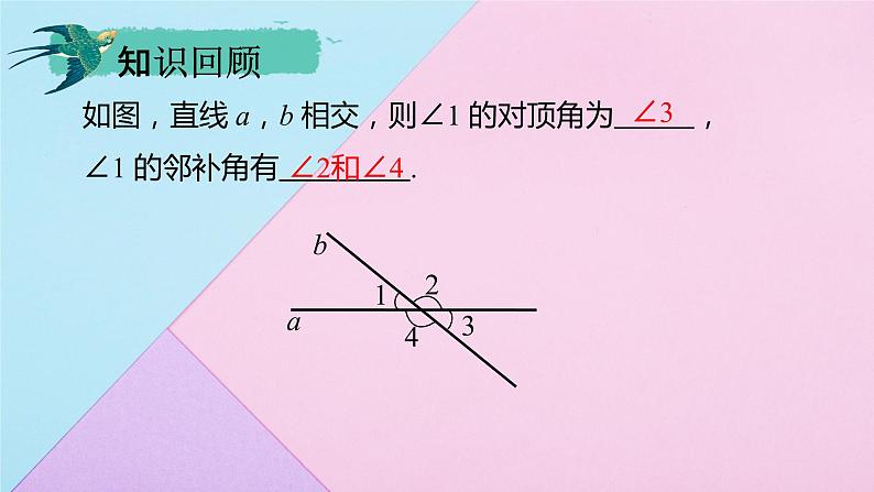 人教版七年级数学下册 5.1.2 垂线2课件PPT第3页