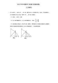 2022年中考数学二轮复习压轴专题：三角形 试题版本