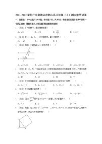 2021-2022学年广东省清远市阳山县八年级（上）期末数学试卷  word，含解析