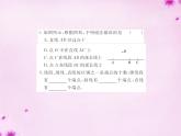 北师大初中数学七上《4.1 线段、射线、直线》PPT课件 (3)