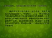 北师大初中数学七上《6.0第六章 数据的收集与整理》PPT课件