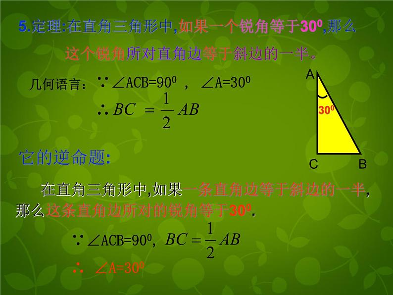 北师大初中数学八下《1.0第一章三角形的证明》PPT课件 (2)第6页