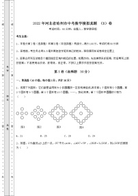 【高频真题解析】2022年河北省沧州市中考数学模拟真题 （B）卷（含答案详解）