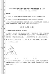 [中考专题]2022年山东省枣庄市中考数学备考真题模拟测评 卷（Ⅰ）（含答案详解）