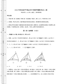 【高频真题解析】2022年河北省平顶山市中考数学模拟考试 A卷（含答案及详解）