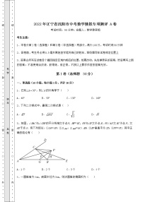 【高频真题解析】2022年辽宁省沈阳市中考数学模拟专项测评 A卷（含答案解析）