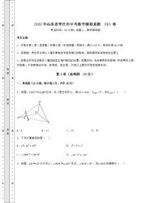 【高频真题解析】2022年山东省枣庄市中考数学模拟真题 （B）卷（含答案及详解）