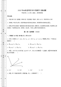 【历年真题】2022年山东省枣庄市中考数学三模试题（含答案详解）