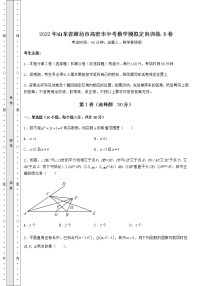 【历年真题】2022年山东省潍坊市高密市中考数学模拟定向训练 B卷（含答案详解）