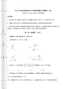 【历年真题】2022年山东省济南市中考数学模拟专项测评 A卷（精选）