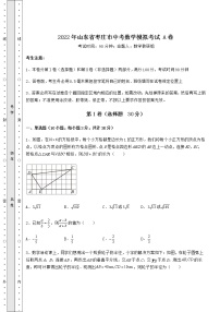 【历年真题】2022年山东省枣庄市中考数学模拟考试 A卷（含答案详解）