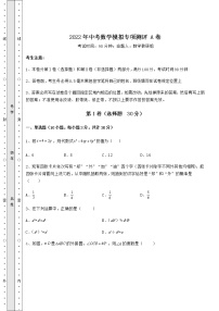 【历年真题】2022年中考数学模拟专项测评 A卷（含答案及详解）