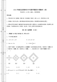 【难点解析】2022年湖北省荆州市中考数学模拟专项测评 A卷（精选）