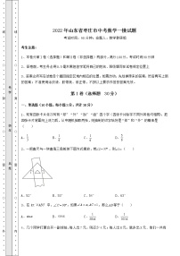 【难点解析】2022年山东省枣庄市中考数学一模试题（含答案及解析）