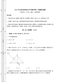 【难点解析】2022年山东省青岛市中考数学第二次模拟试题（含答案详解）