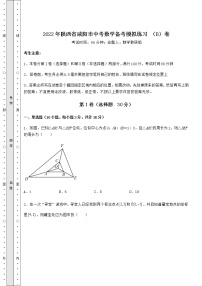 【难点解析】2022年陕西省咸阳市中考数学备考模拟练习 （B）卷（含答案及解析）