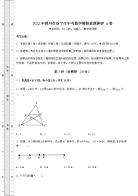 【难点解析】2022年四川省遂宁市中考数学模拟真题测评 A卷（含答案详解）