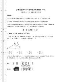 【难点解析】安徽省宿州市中考数学模拟真题测评 A卷（含答案及详解）