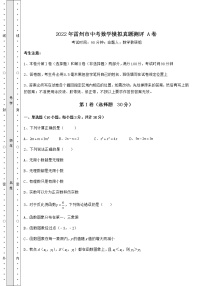 【真题汇编】2022年雷州市中考数学模拟真题测评 A卷（含答案详解）