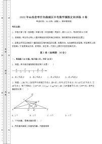 【真题汇编】2022年山东省枣庄市薛城区中考数学模拟定向训练 B卷（含答案及详解）