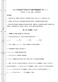 【真题汇总卷】2022年河南省平顶山市中考数学模拟测评 卷（Ⅰ）（含答案及详解）