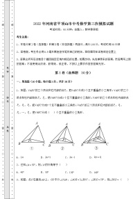 【真题汇总卷】2022年河南省平顶山市中考数学第三次模拟试题（含答案详解）