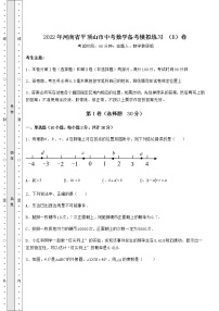 【真题汇总卷】2022年河南省平顶山市中考数学备考模拟练习 （B）卷（含详解）