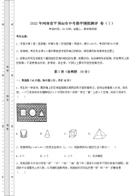 【真题汇总卷】2022年河南省平顶山市中考数学模拟测评 卷（Ⅰ）（精选）