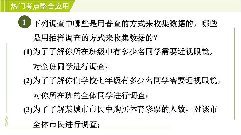 鲁教五四版六年级下册数学 第8章 全章热门考点整合应用 习题课件第3页