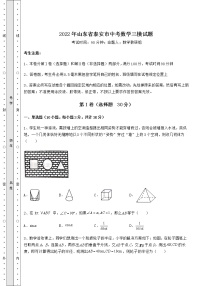 【真题汇总卷】2022年山东省泰安市中考数学三模试题（含答案详解）