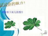 27.1 图形的相似课件PPT