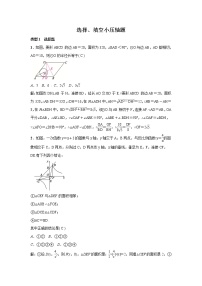 2021年初中数学二轮复习 选择填空小压轴题 练习