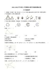 广西壮族自治区百色市靖西市2021-2022学年八年级上学期期末数学试题（word版 含答案）