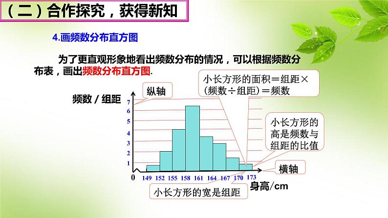 10.2 直方图 课件（共21张）第8页