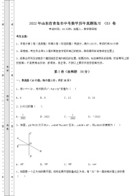 【历年真题】2022年山东省青岛市中考数学历年真题练习 （B）卷（含详解）