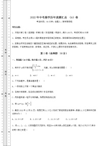 【历年真题】2022年中考数学历年真题汇总 （A）卷（精选）