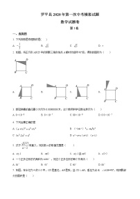 精品解析：2020年云南省曲靖市罗平县九年级一模数学试题(解析版+原卷版)