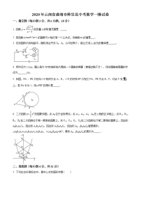 精品解析：2020年云南省曲靖市师宗县中考数学一模试题(解析版+原卷版)