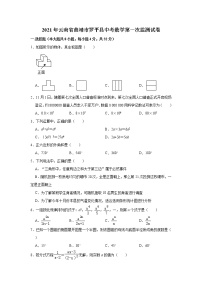 2021年云南省曲靖市罗平县中考数学第一次监测试卷及答案