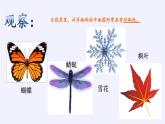 沪科版数学八年级上册 15.1 轴对称图形(5) 课件