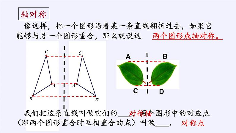 沪科版数学八年级上册 15.1 轴对称图形(5) 课件第6页