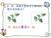 沪科版数学八年级上册 14.1 全等三角形(3) 课件