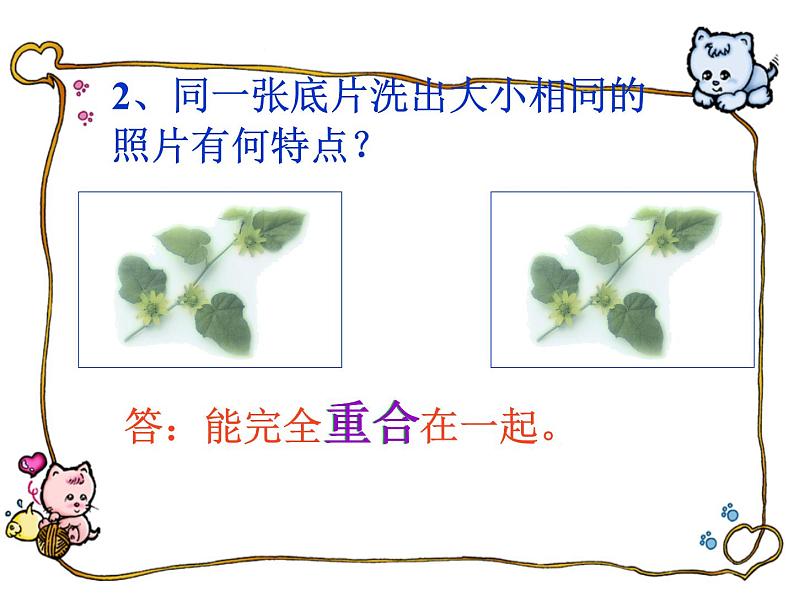 沪科版数学八年级上册 14.1 全等三角形(3) 课件03